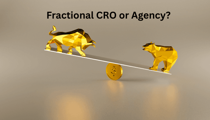 Fractional CMO vs Marketing Agency: Which is Right for You?