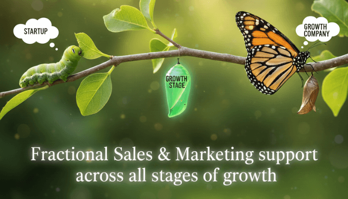 The Complete Guide to Fractional Revenue Leadership